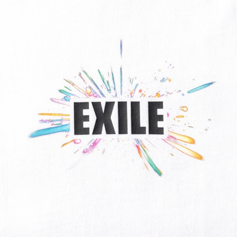 THE REASON ～PERFECT YEAR Special～ ツアーTシャツ/WHITE 詳細画像 カラー共通 2