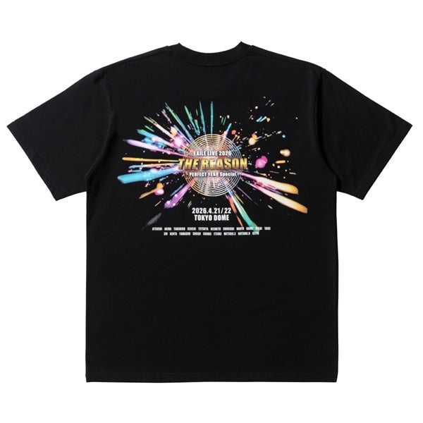 THE REASON ～PERFECT YEAR Special～ ツアーTシャツ/BLACK 詳細画像