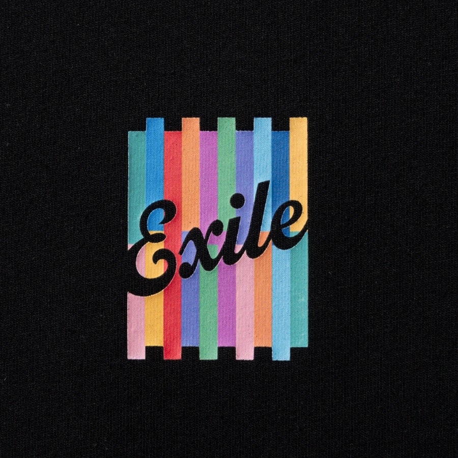 THE REASON ～PERFECT YEAR Special～ フォトロングスリーブTシャツ/BLACK 詳細画像 カラー共通 2