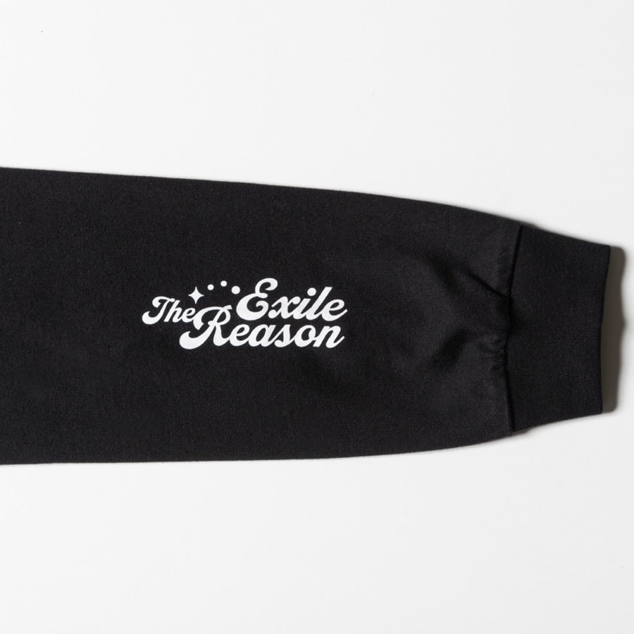 THE REASON ～PERFECT YEAR Special～ フォトロングスリーブTシャツ/BLACK 詳細画像 カラー共通 4