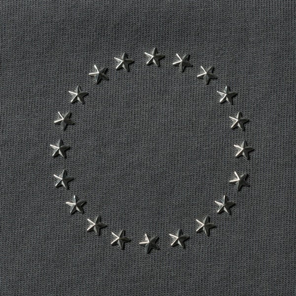 THE REASON ～PERFECT YEAR Special～ ロゴTシャツ/CHARCOAL GRAY 詳細画像