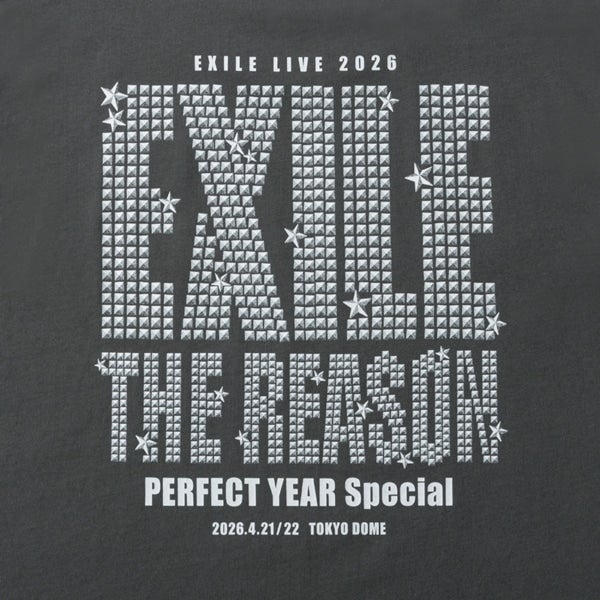 THE REASON ～PERFECT YEAR Special～ ロゴTシャツ/CHARCOAL GRAY 詳細画像