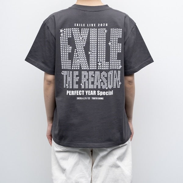 THE REASON ～PERFECT YEAR Special～ ロゴTシャツ/CHARCOAL GRAY 詳細画像