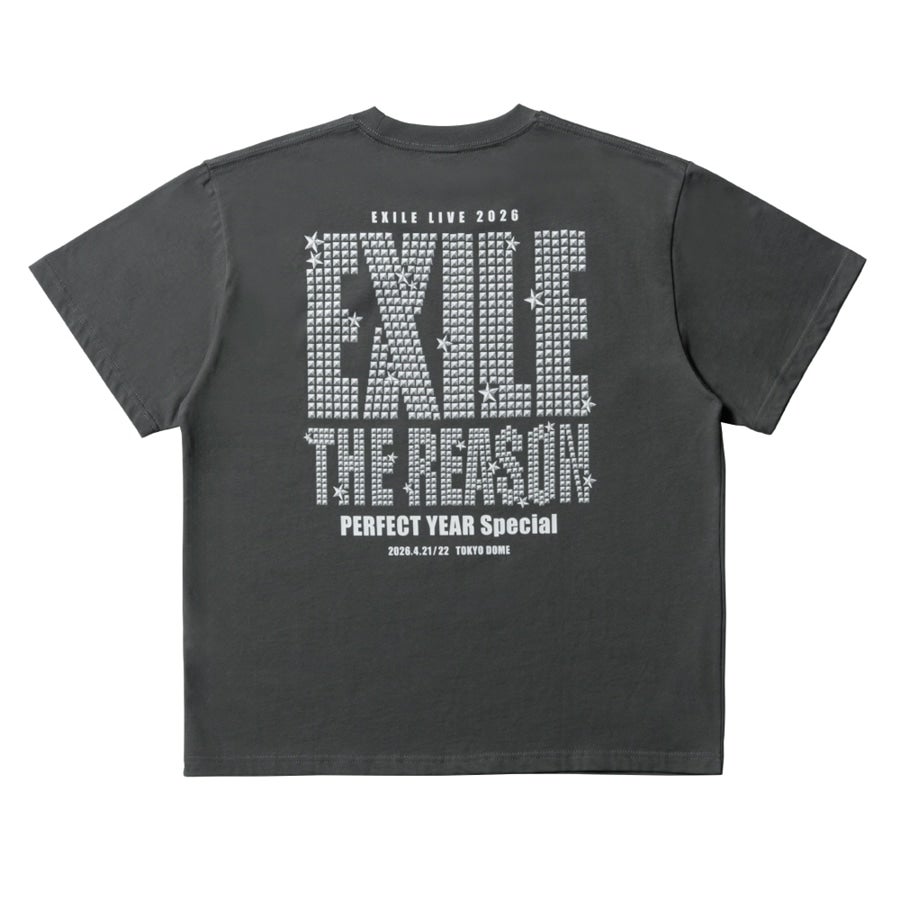 THE REASON ～PERFECT YEAR Special～ ロゴTシャツ/CHARCOAL GRAY 詳細画像 カラー共通 1