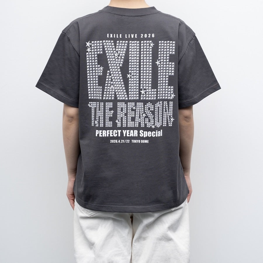 THE REASON ～PERFECT YEAR Special～ ロゴTシャツ/CHARCOAL GRAY 詳細画像 カラー共通 5