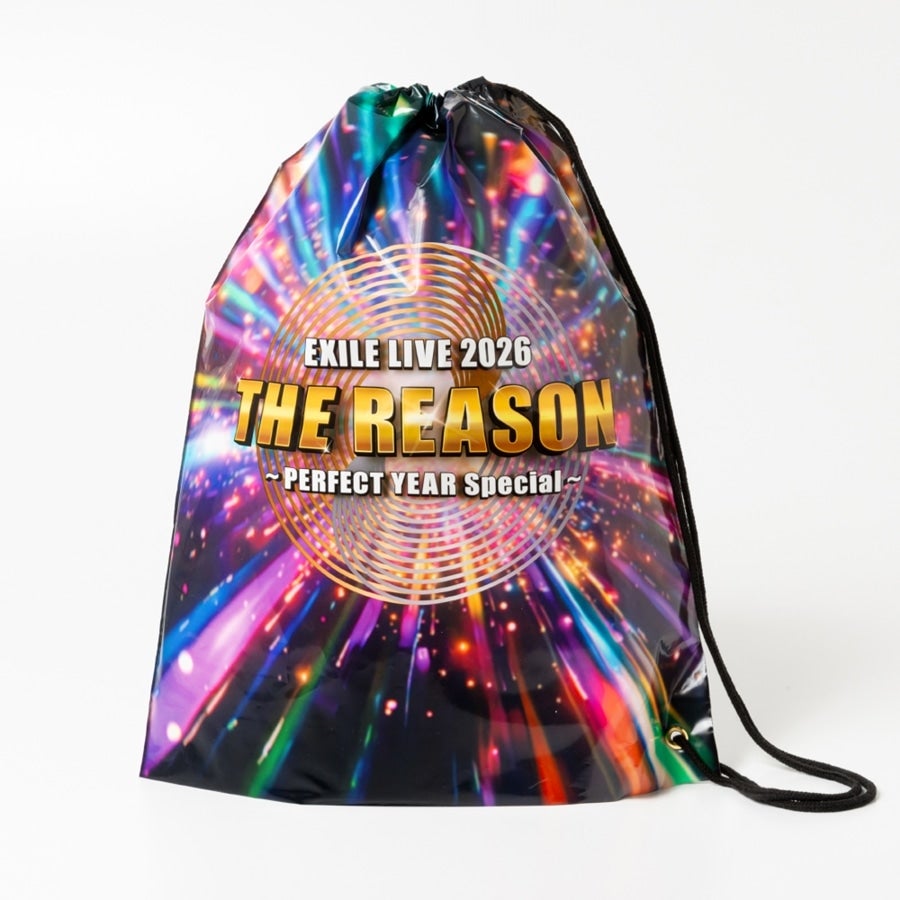 THE REASON ～PERFECT YEAR Special～ ビニールバッグ 詳細画像 カラー共通 2