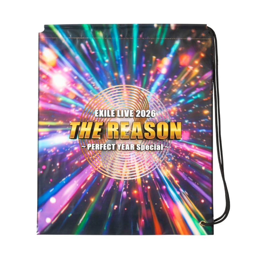 THE REASON ～PERFECT YEAR Special～ ビニールバッグ 詳細画像 OTHER 1