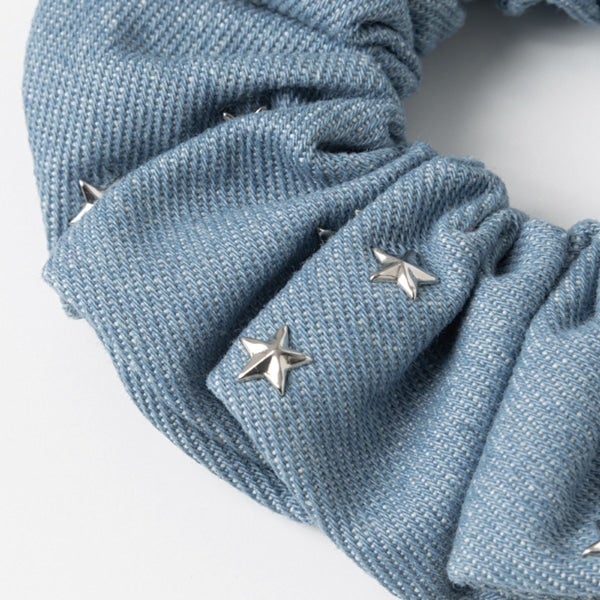 THE REASON ～PERFECT YEAR Special～ デニムシュシュ 詳細画像