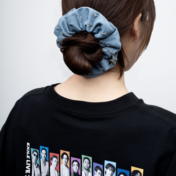 THE REASON ～PERFECT YEAR Special～ デニムシュシュ 詳細画像