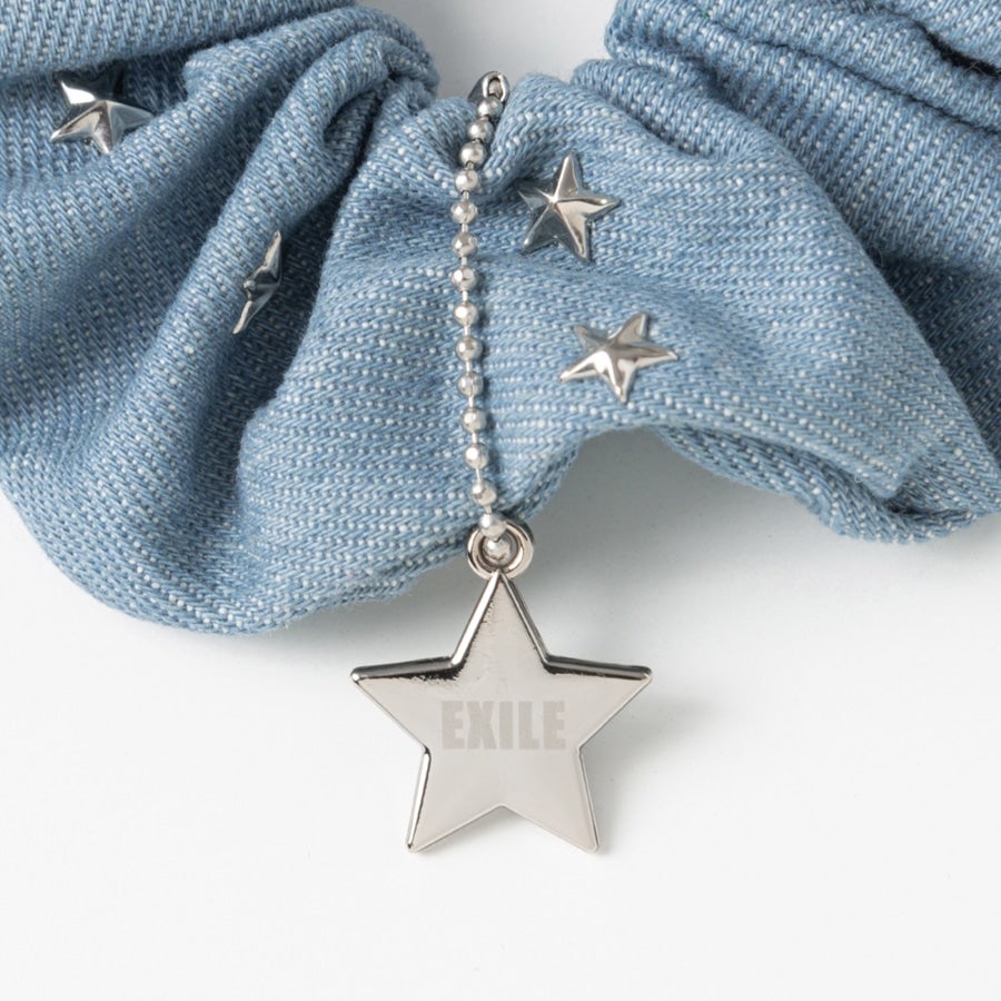 THE REASON ～PERFECT YEAR Special～ デニムシュシュ 詳細画像 カラー共通 1