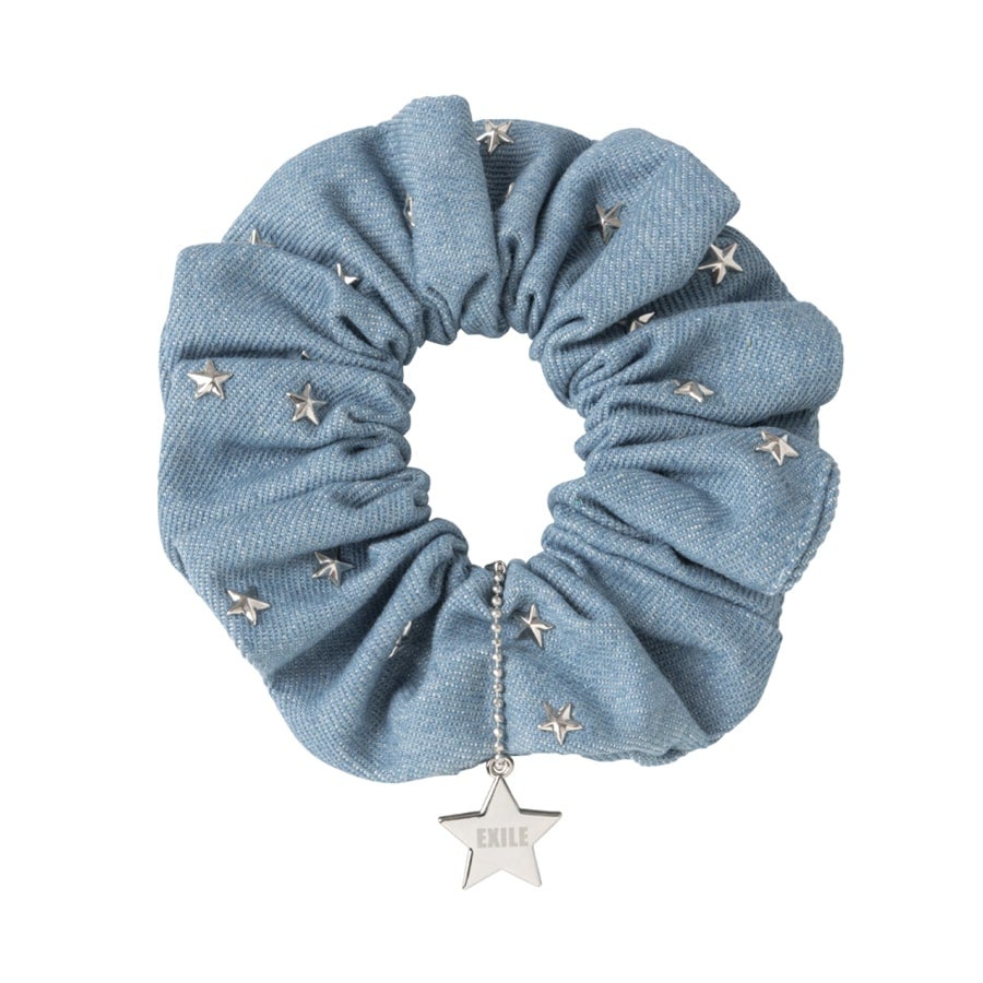 THE REASON ～PERFECT YEAR Special～ デニムシュシュ 詳細画像 OTHER 1