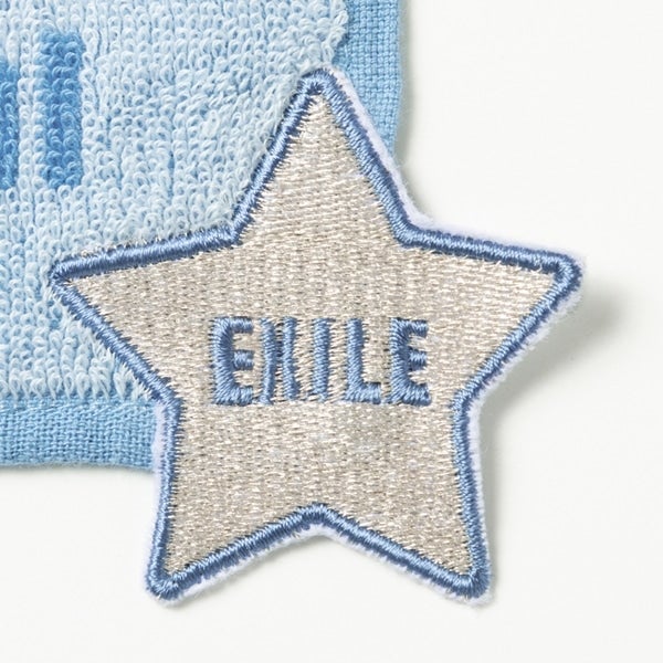 THE REASON ～PERFECT YEAR Special～ ハンドタオル 詳細画像