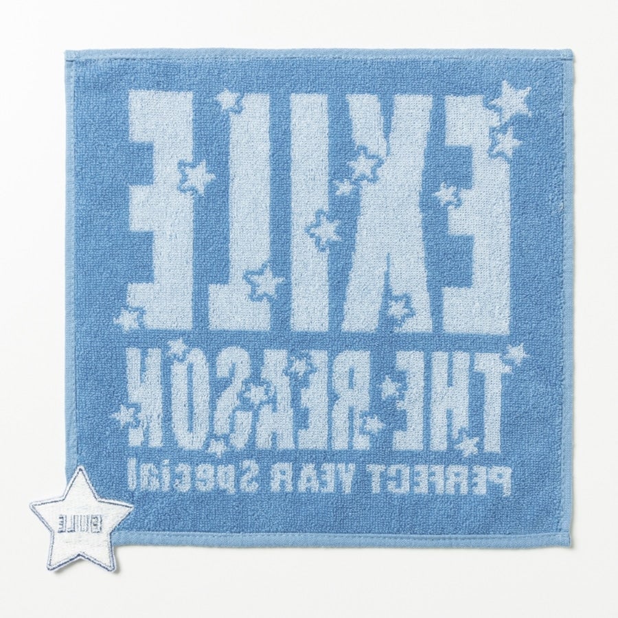 THE REASON ～PERFECT YEAR Special～ ハンドタオル 詳細画像 カラー共通 1