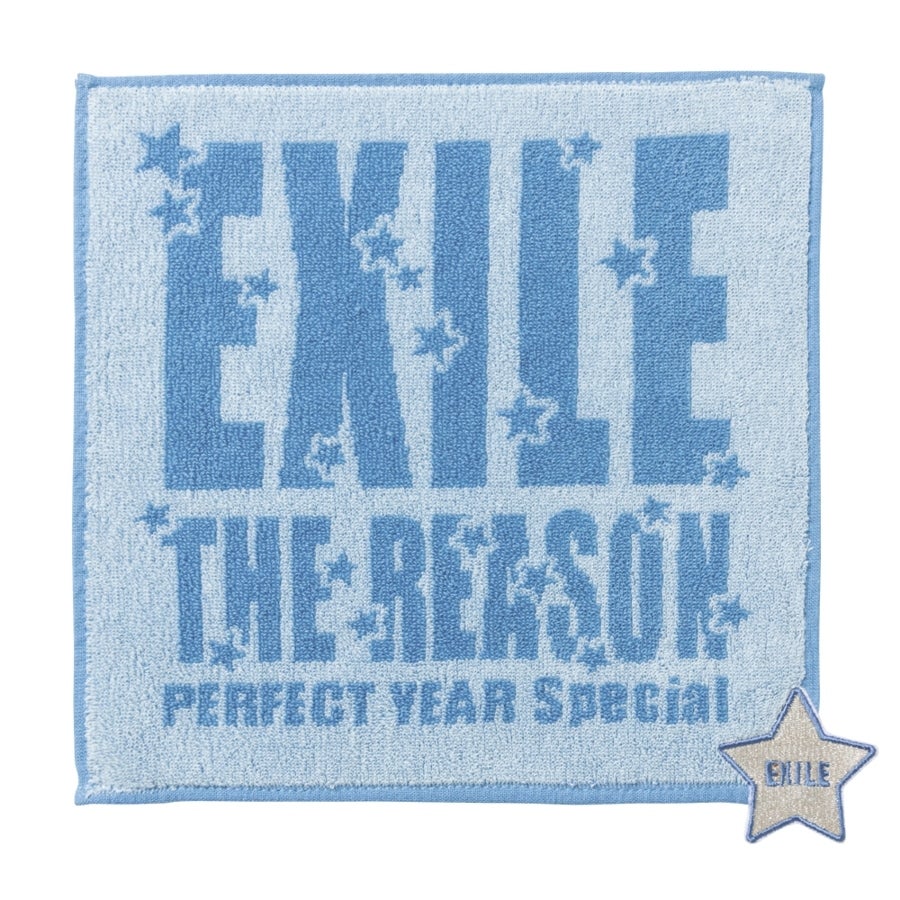THE REASON ～PERFECT YEAR Special～ ハンドタオル 詳細画像 OTHER 1