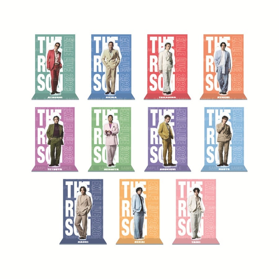 THE REASON ～PERFECT YEAR Special～ アクリルスタンド/EXILE/11種セット 詳細画像 カラー共通 1