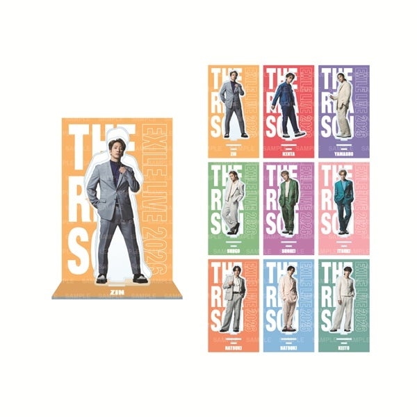 THE REASON ～PERFECT YEAR Special～ アクリルスタンド/STARTING MEMBER/全9種