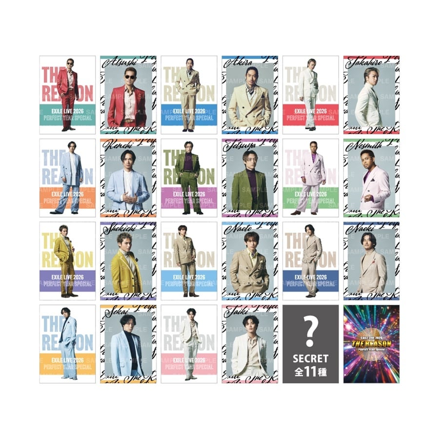 THE REASON ～PERFECT YEAR Special～ フォトカード/EXILE/全22種+シークレット11種 詳細画像 OTHER 1