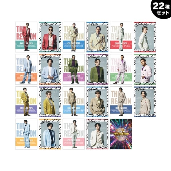 THE REASON ～PERFECT YEAR Special～ フォトカード/EXILE/22種セット