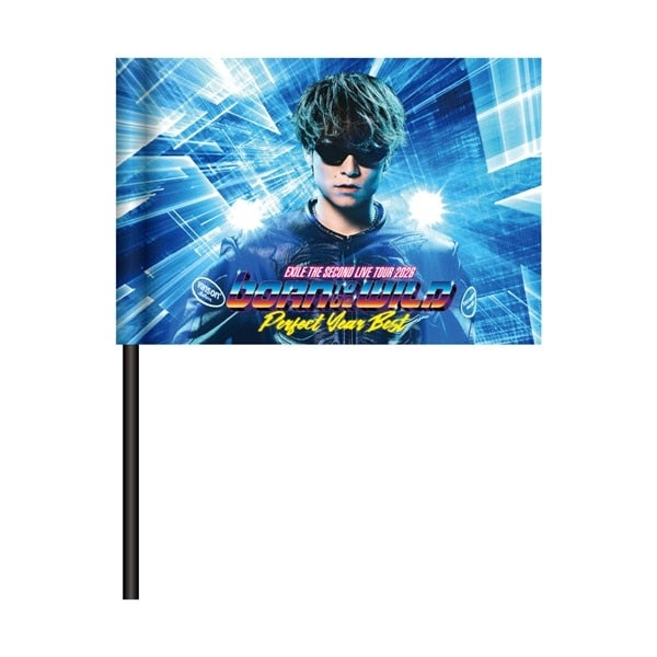 PERFECT YEAR BEST ～Born To Be Wild～ ビジュアルフラッグ/EXILE TETSUYA