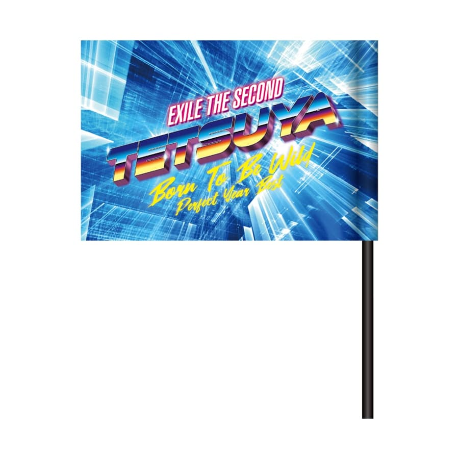 PERFECT YEAR BEST ～Born To Be Wild～ ビジュアルフラッグ/EXILE TETSUYA 詳細画像 カラー共通 1