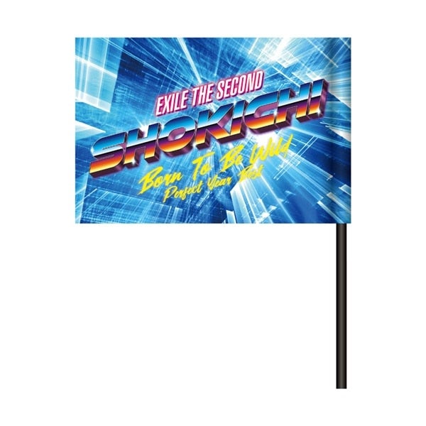 PERFECT YEAR BEST ～Born To Be Wild～ ビジュアルフラッグ/EXILE SHOKICHI 詳細画像