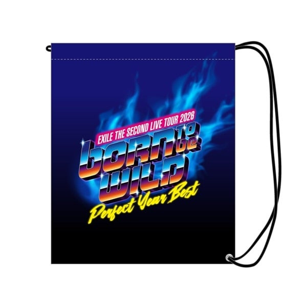 PERFECT YEAR BEST ～Born To Be Wild～ ビニールバッグ