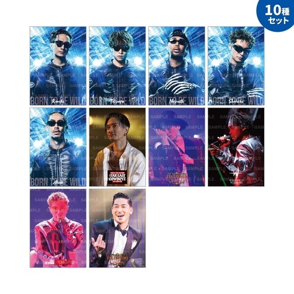 PERFECT YEAR BEST ～Born To Be Wild～ フォトカード/10種セット