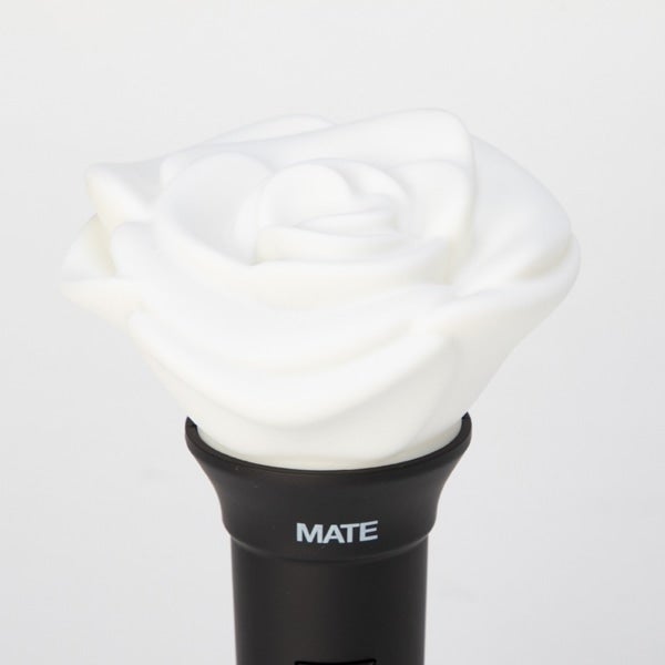 JSB3 Official &ldquo;MATE&rdquo; Light Stick 詳細画像