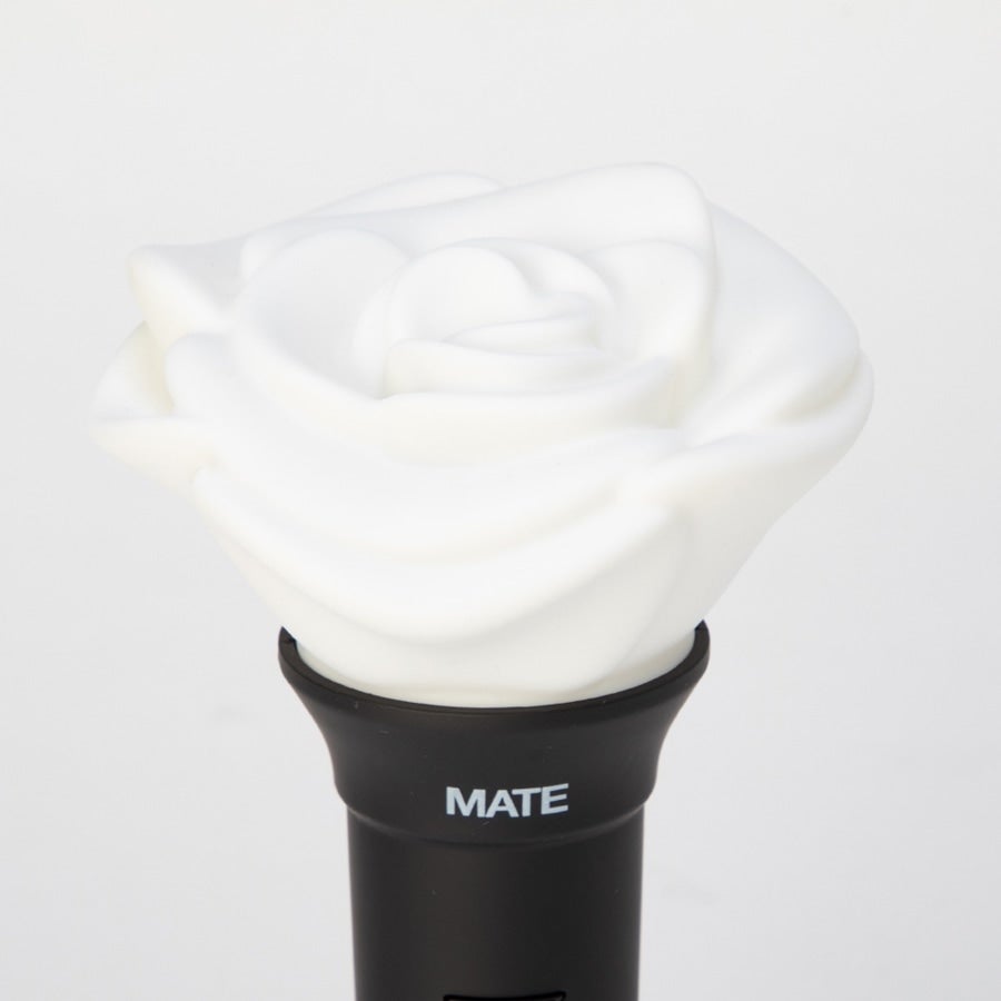 JSB3 Official &ldquo;MATE&rdquo; Light Stick 詳細画像 カラー共通 1