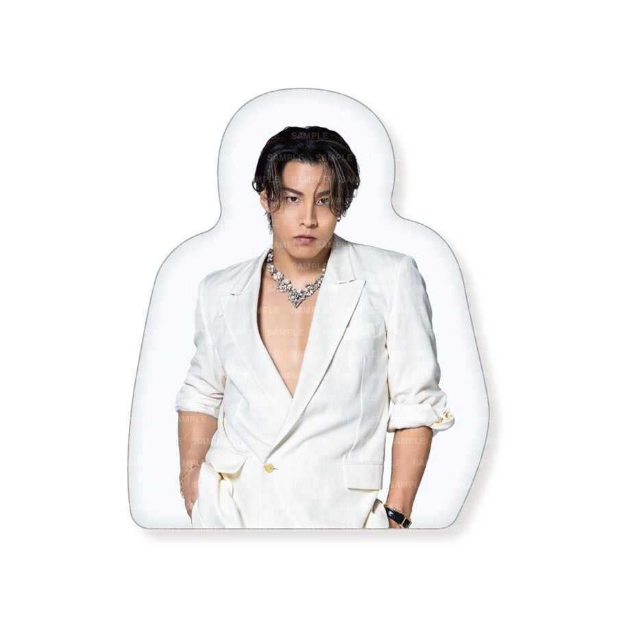 THE RAMPAGE 2026 カレンダー ダイカットクッション 詳細画像 RIKU 1