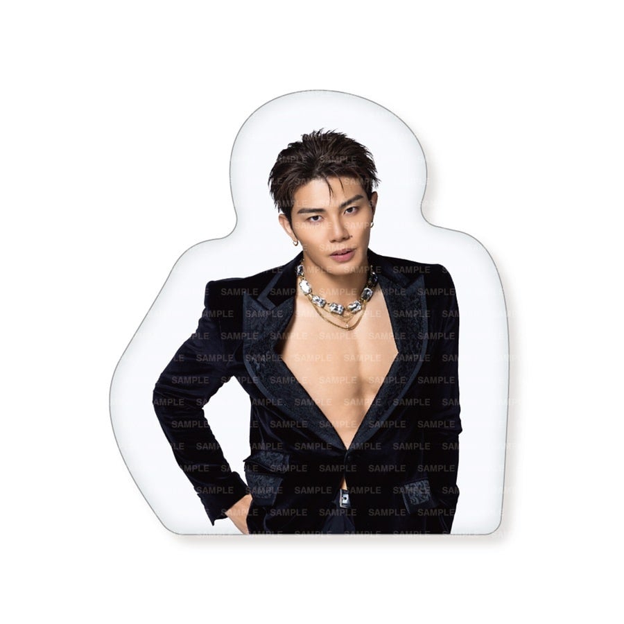 THE RAMPAGE 2026 カレンダー ダイカットクッション 詳細画像 武知海青 1