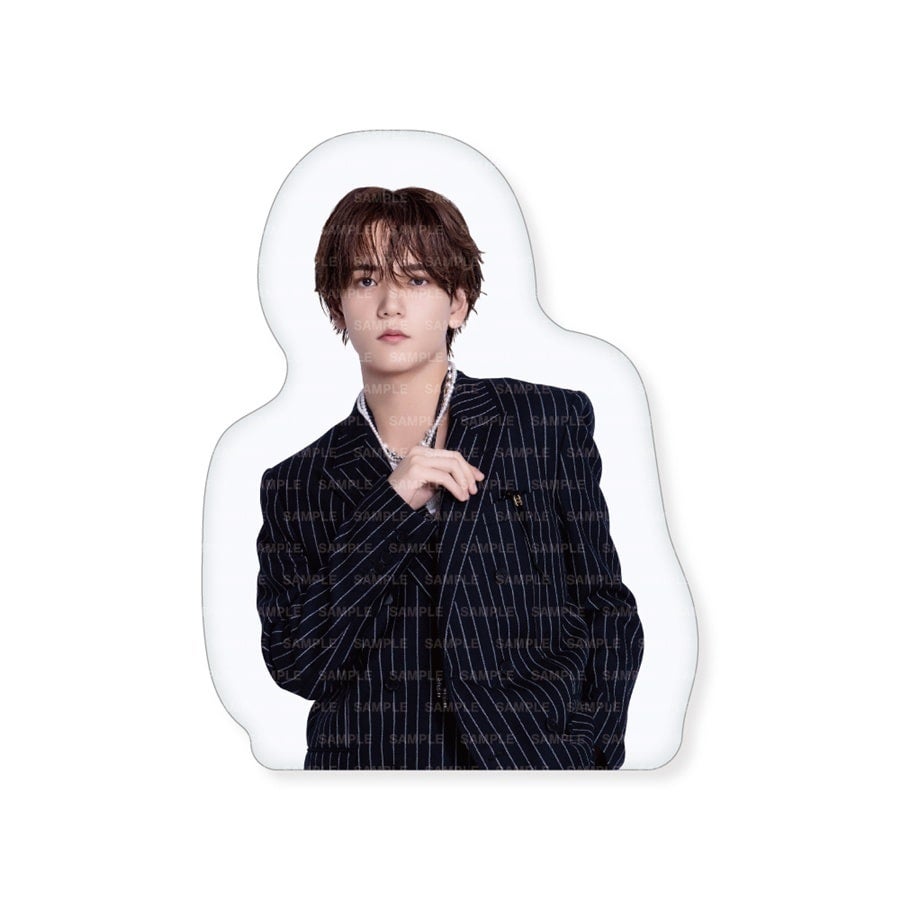 FANTASTICS 2026 カレンダー ダイカットクッション 詳細画像 中島颯太 1