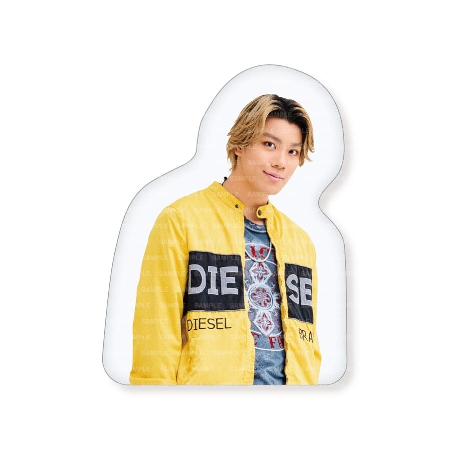 LIL LEAGUE 2026 カレンダー ダイカットクッション 詳細画像 岩城星那 1