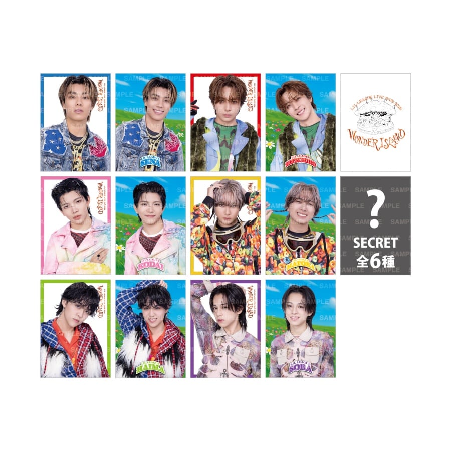 Wonder Island フォトカード全12種+シークレット6種 詳細画像 OTHER 1