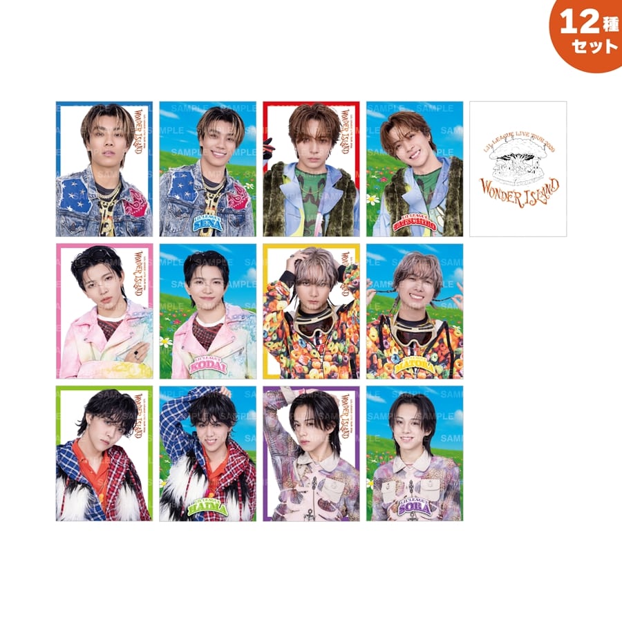 Wonder Island フォトカード12種セット 詳細画像 OTHER 1