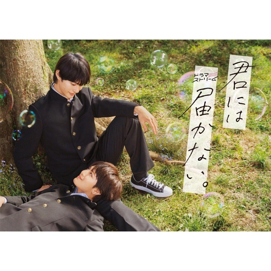 君には届かない｡ DVD-BOX 詳細画像 OTHER 1