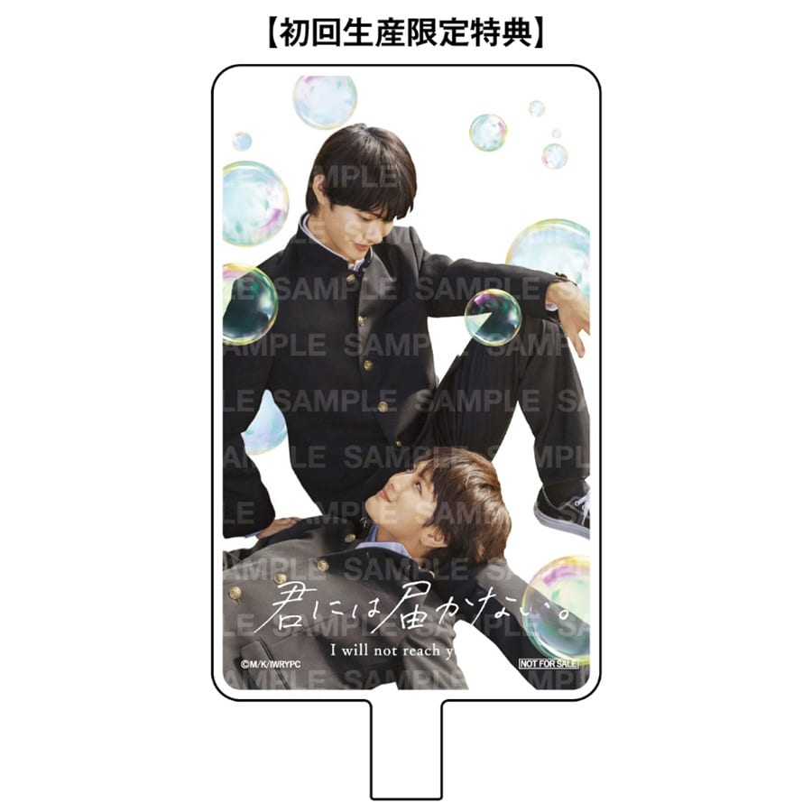 君には届かない｡ Blu-ray BOX 詳細画像 カラー共通 1