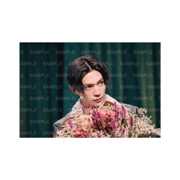 隣のステラ DVD 通常版 詳細画像